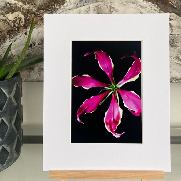 “YOU SPIN ME ROUND” ~ ORIGINAL ART by ~ @lisamichellebeckerphotography - Picture 1 of 13